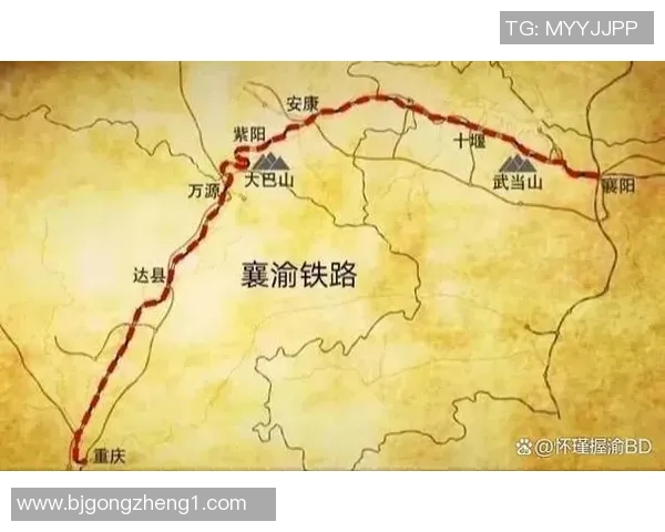 武汉排球队与成都排球队赛后分析力量对比与战术探讨