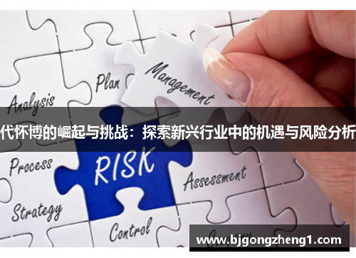 代怀博的崛起与挑战：探索新兴行业中的机遇与风险分析